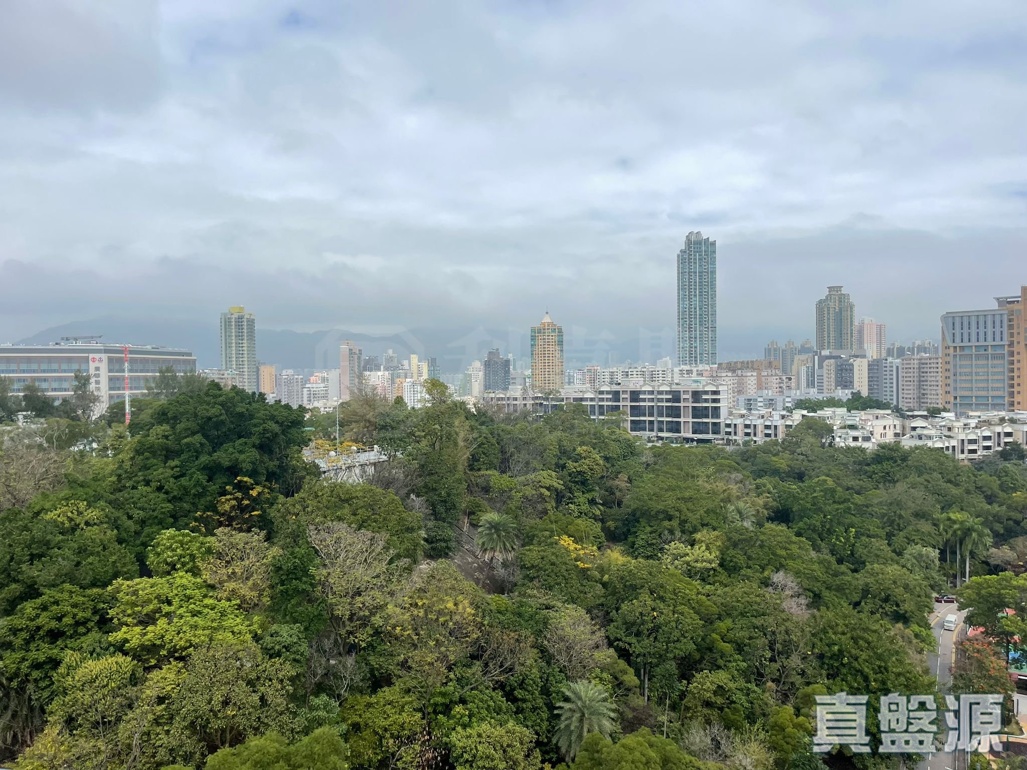 爵士花园 2座 极高层 A室 何文田/京士柏/九龙塘/又一村