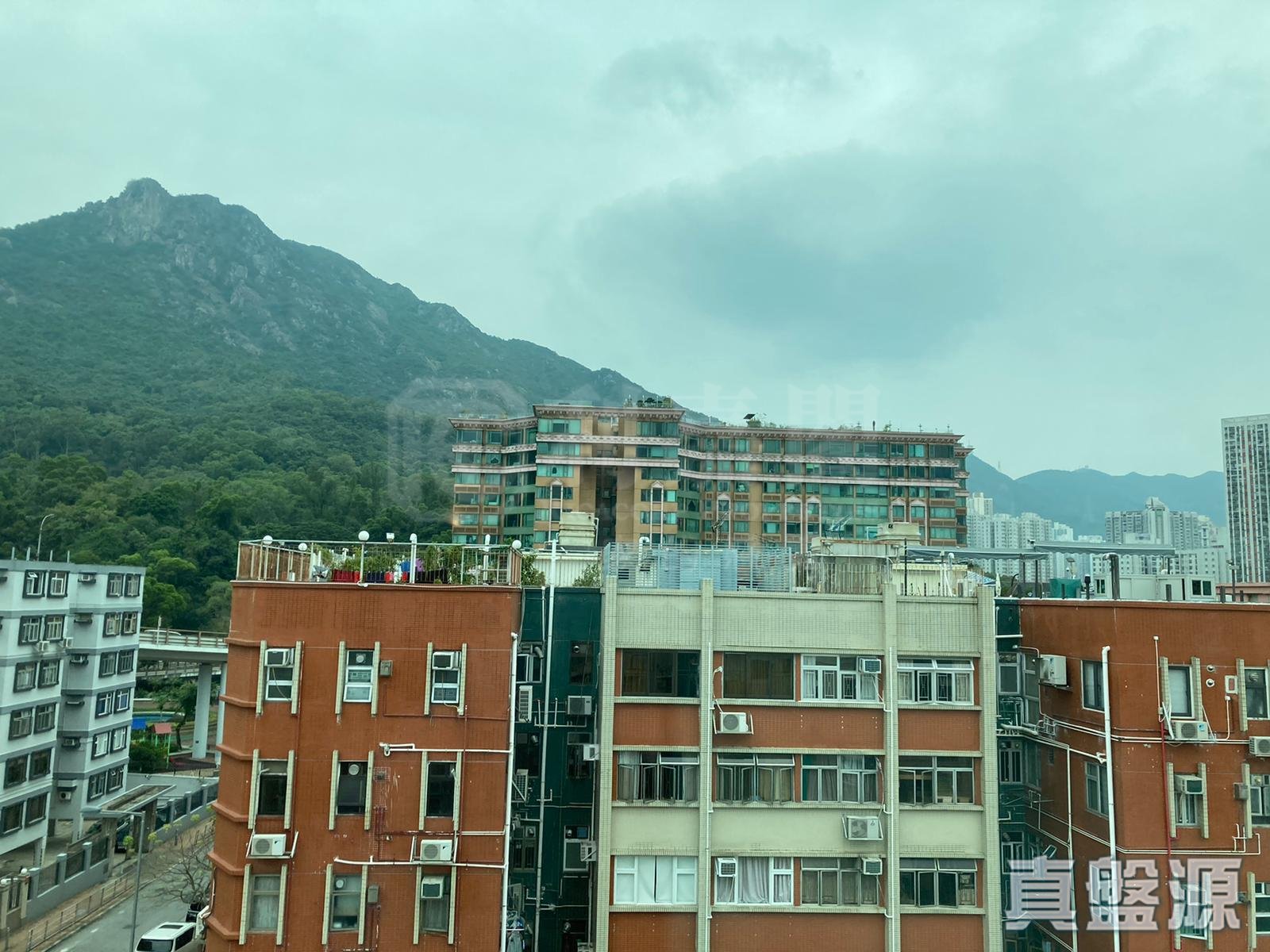 碧麗閣 A座 高層 何文田/京士柏/九龍塘/又一村