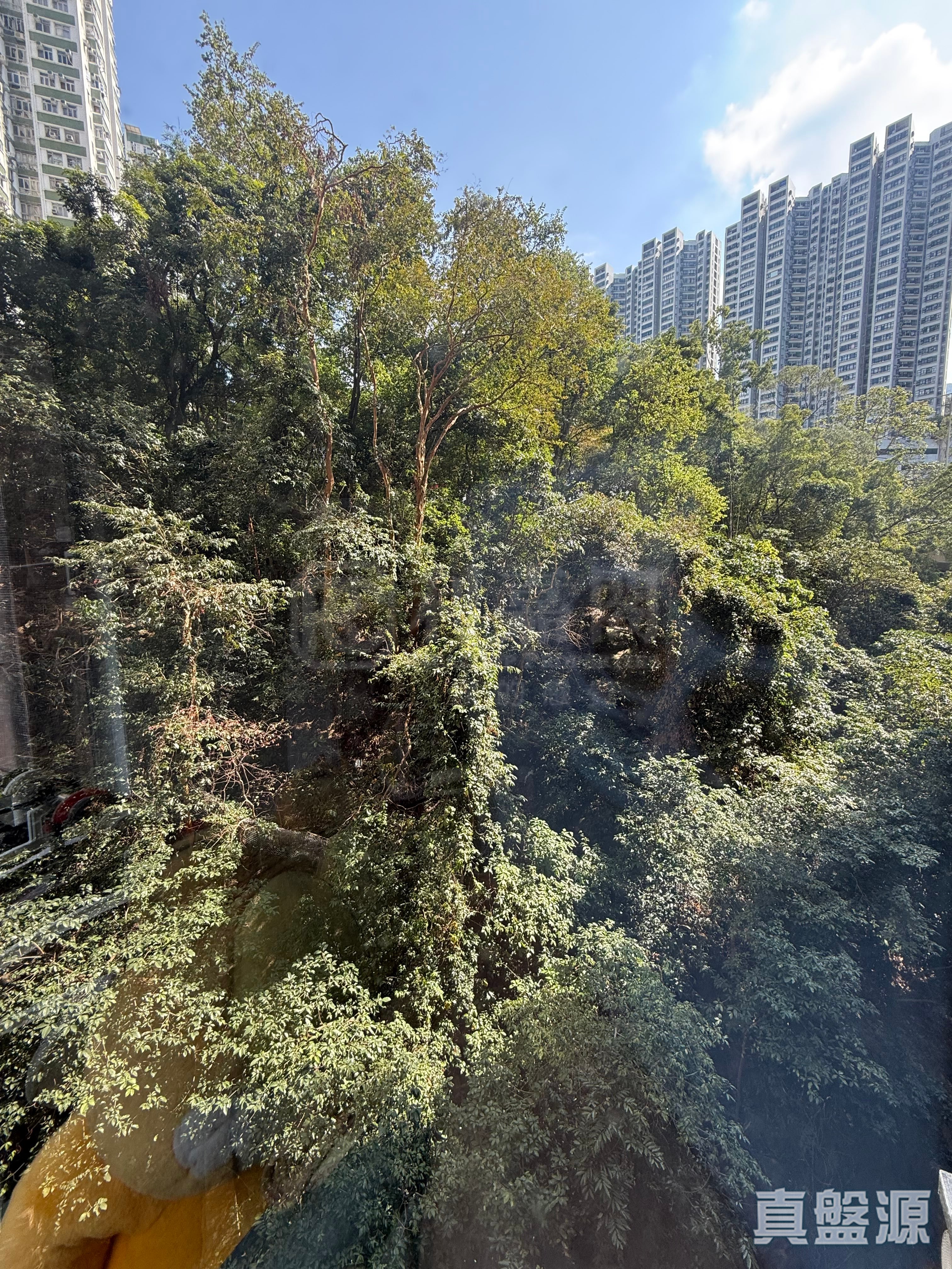 康景花园 B座 5室 康怡/鰂鱼涌/太古城