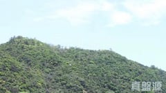 康景花園 D座 極高層 2室 康怡/鰂魚涌/太古城