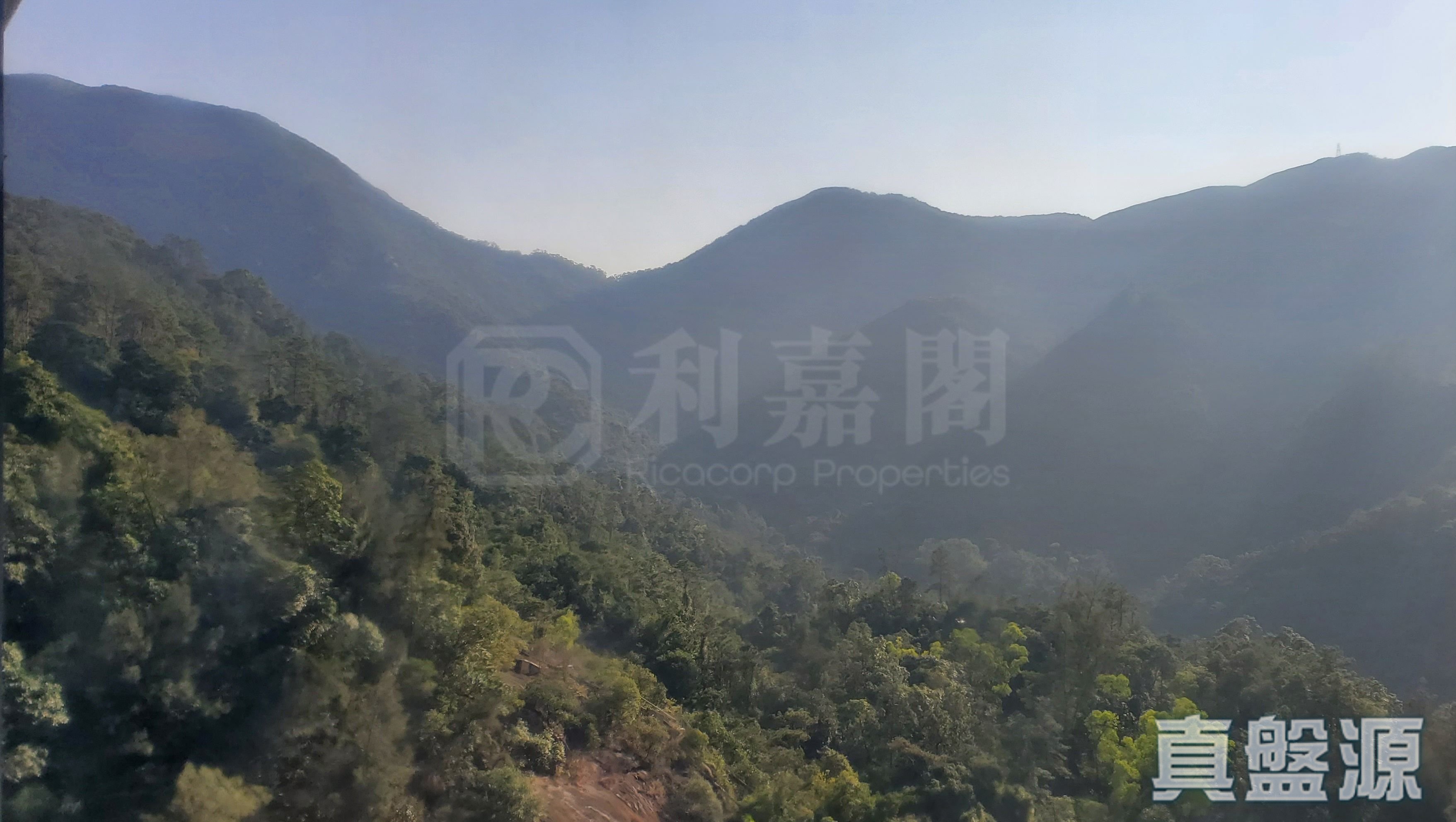 KORNHILL BLOCK D (FLAT 9 - 16) Very High Floor Zone Flat 12 Quarry Bay/Kornhill/Taikoo Shing