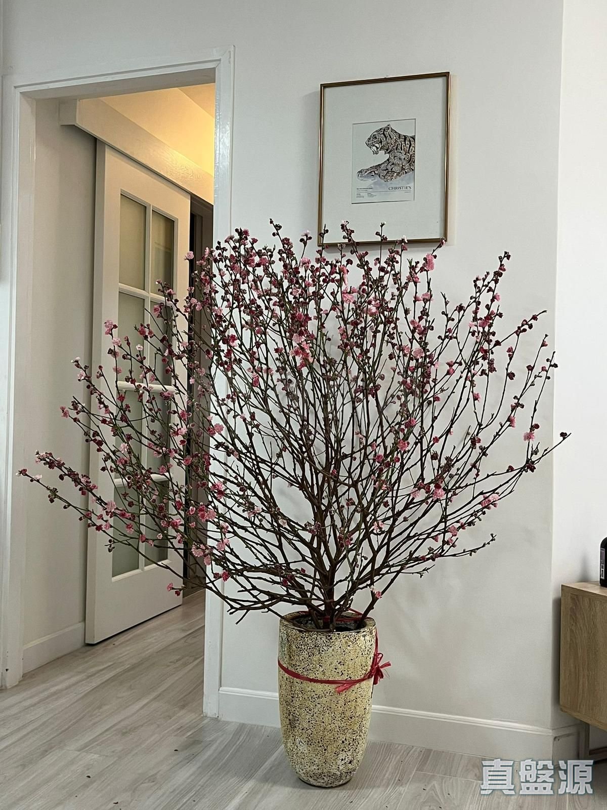 康怡花园 E座 (9-16室) 低层 10室 康怡/鰂鱼涌/太古城