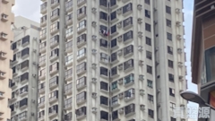 LAI BO GARDEN Block 1 Medium Floor Zone Flat E West Kowloon