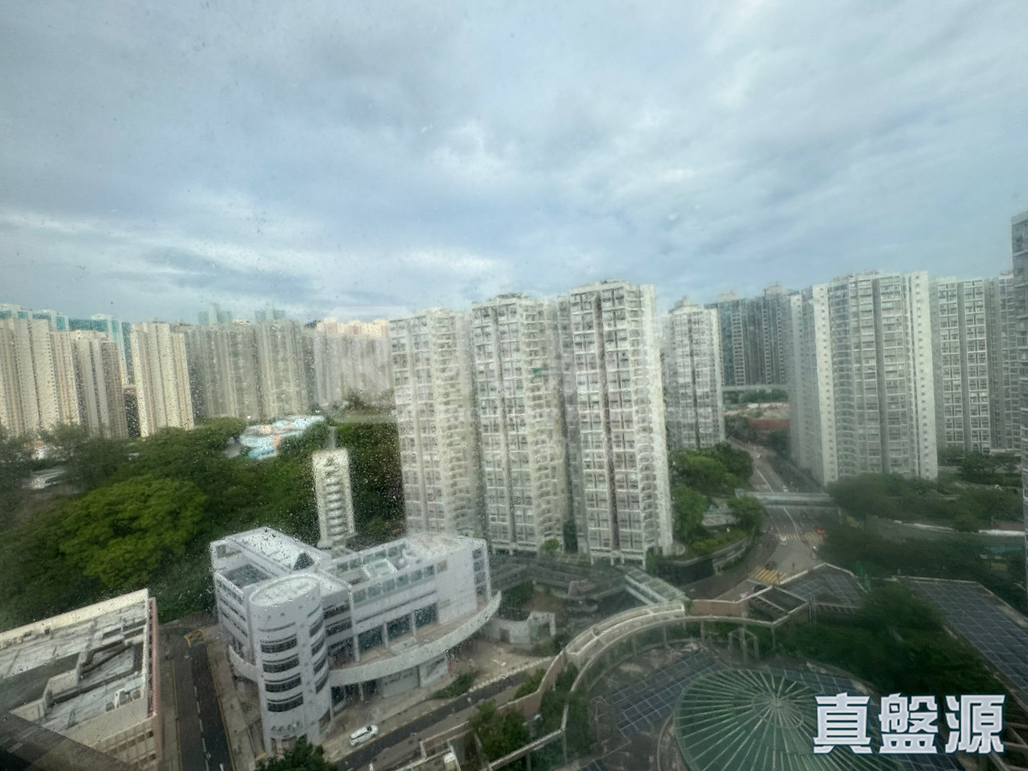 丽港城 1期 3座 极高层 D室 观塘/蓝田/油塘