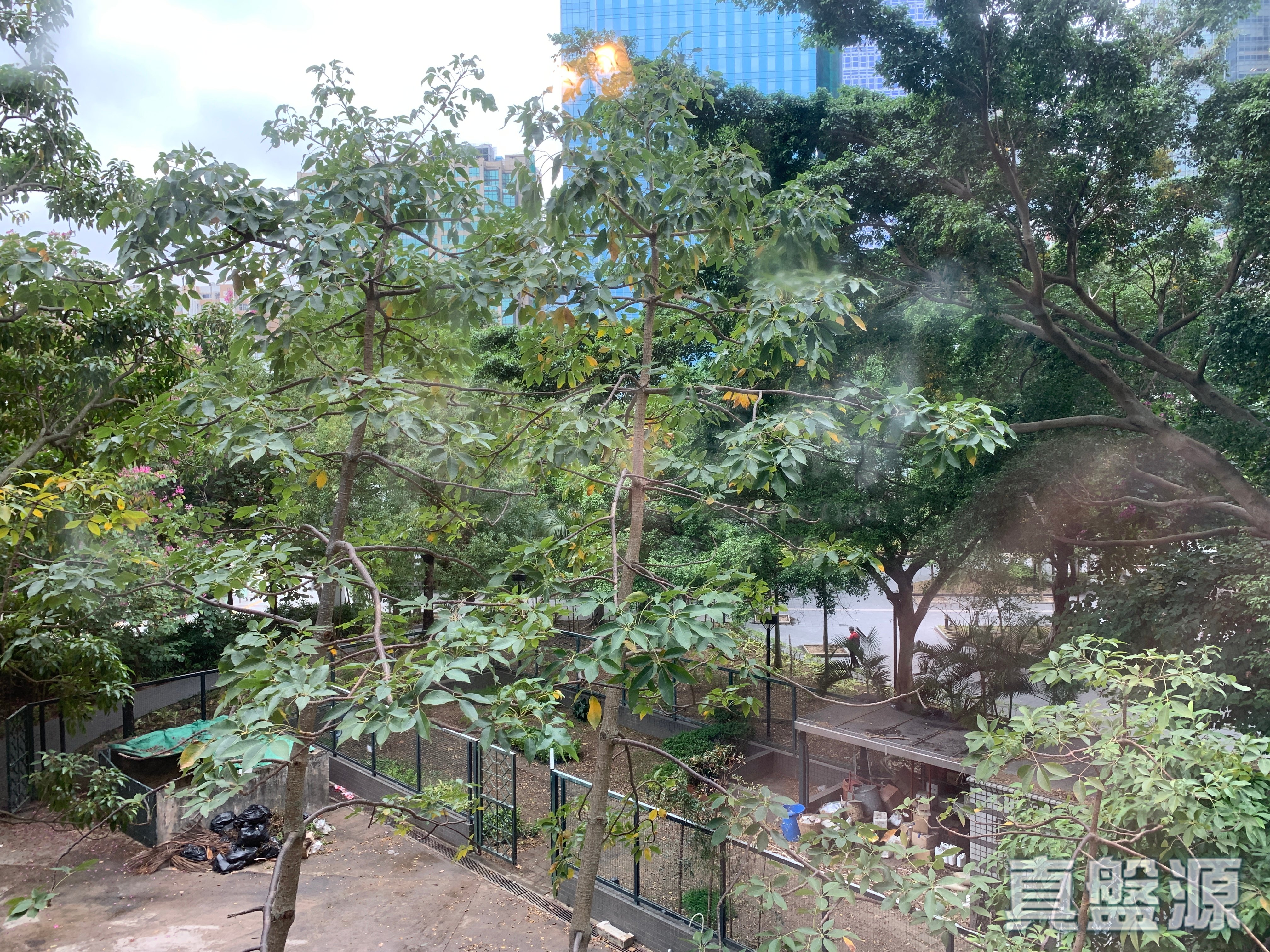 麗港城 4期 12座