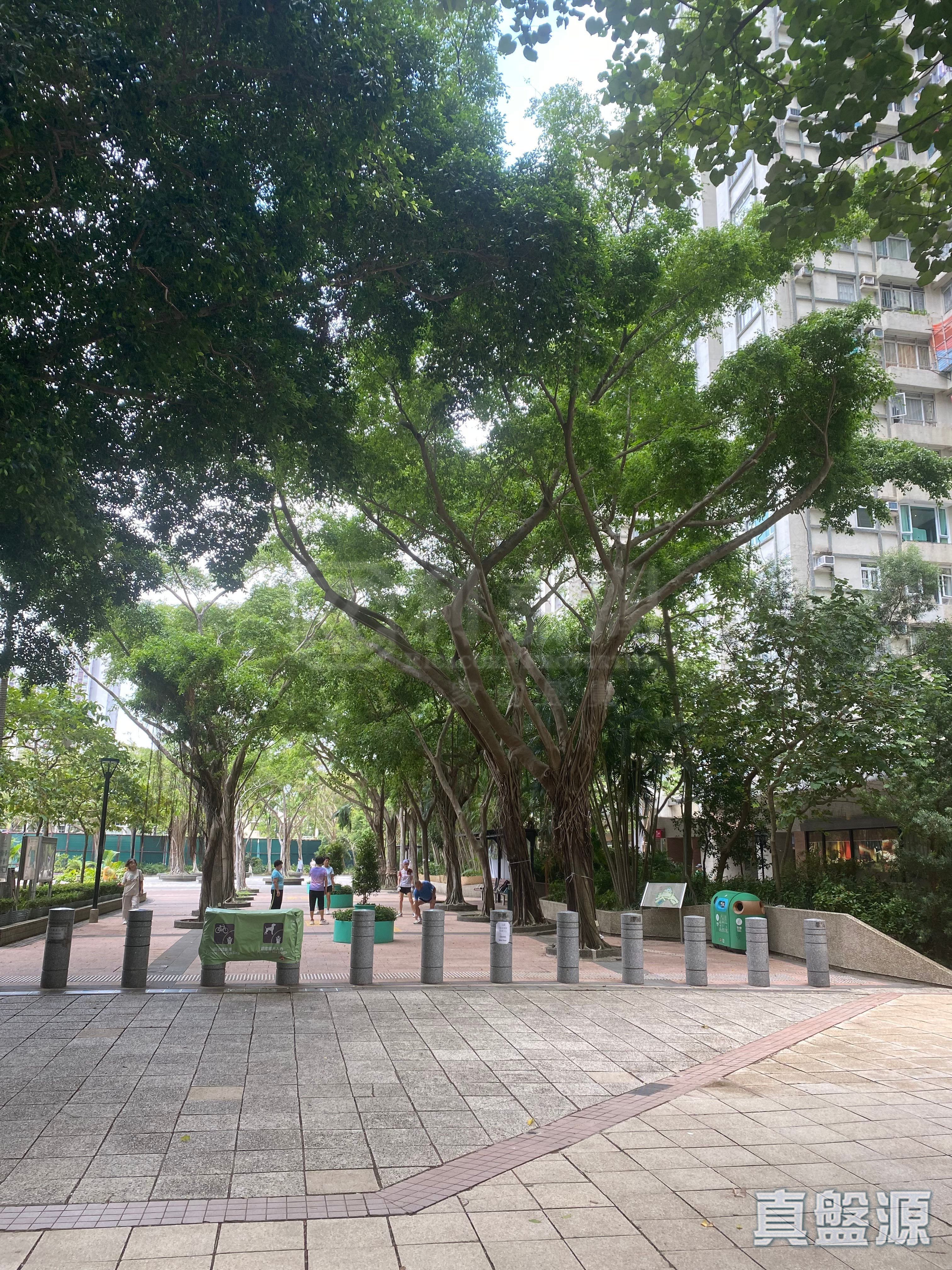 鯉景灣 A段 觀海閣 (1座) 中層 C室 西灣河/筲箕灣