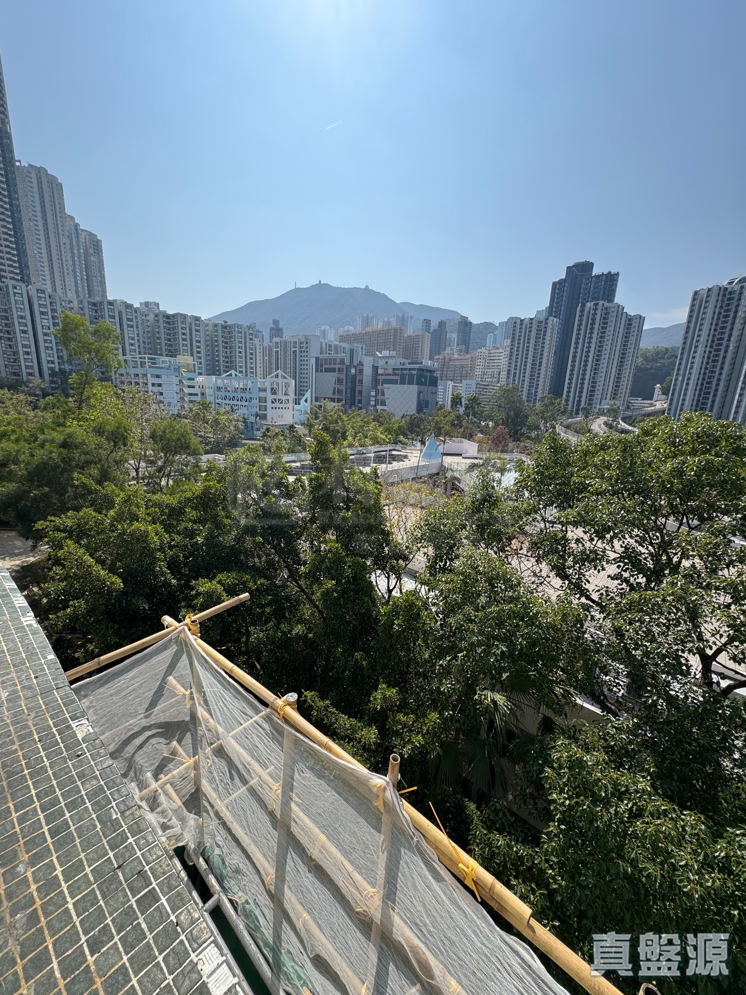 鯉景灣 A段 觀海閣 (1座) 中層 D室 西灣河/筲箕灣