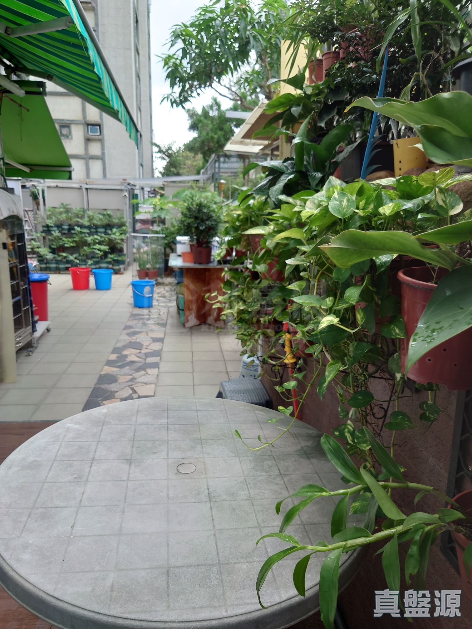 鯉景灣 A段 觀景閣 (2座) 西灣河/筲箕灣