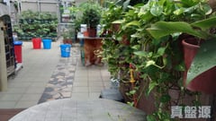 鯉景灣 A段 觀景閣 (2座) 西灣河/筲箕灣