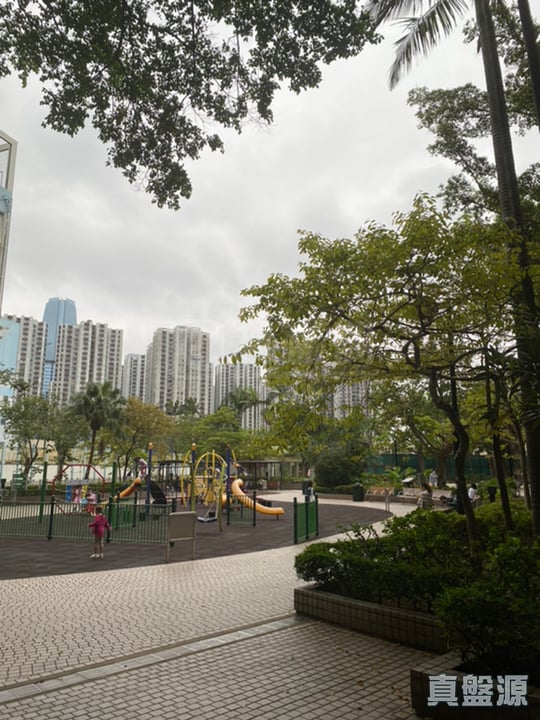 鯉景灣 B段 逸康閣 (6座) 極高層 C室 西灣河/筲箕灣