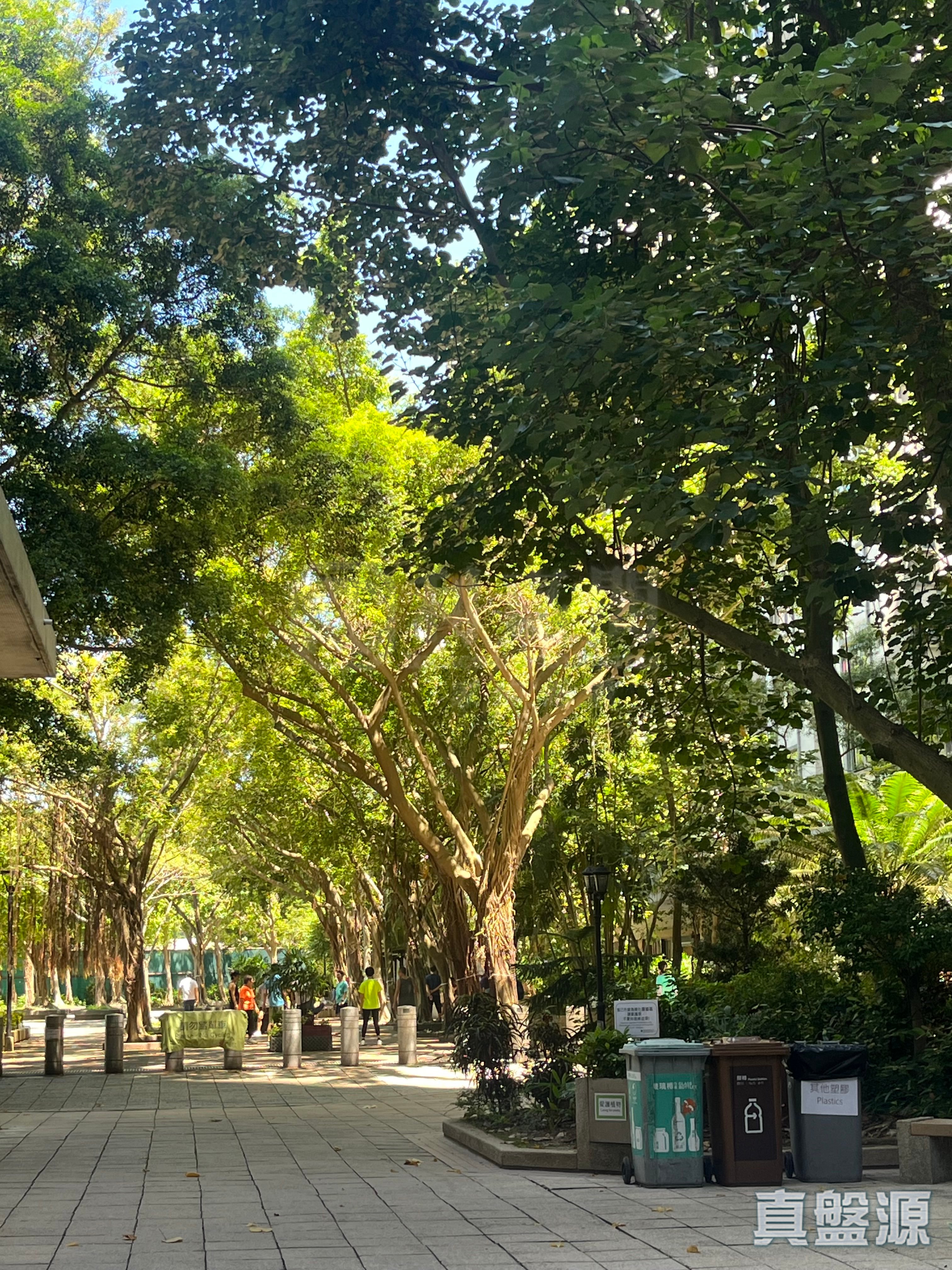 鯉景灣 B段 逸榮閣 (7座) 極高層 D室 西灣河/筲箕灣