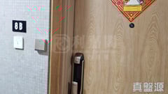 美孚新邨 6期 恒柏街6-8号 中层 B室 美孚/华景