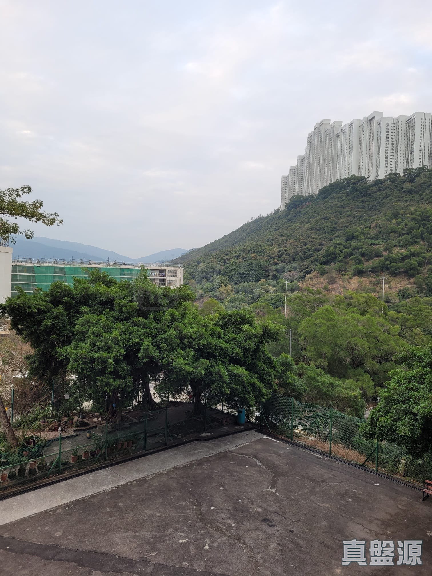 翠瑤苑 低層 1室 美孚/華景