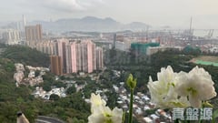 華員邨 華禮閣 (3座) 高層 C室 美孚/華景