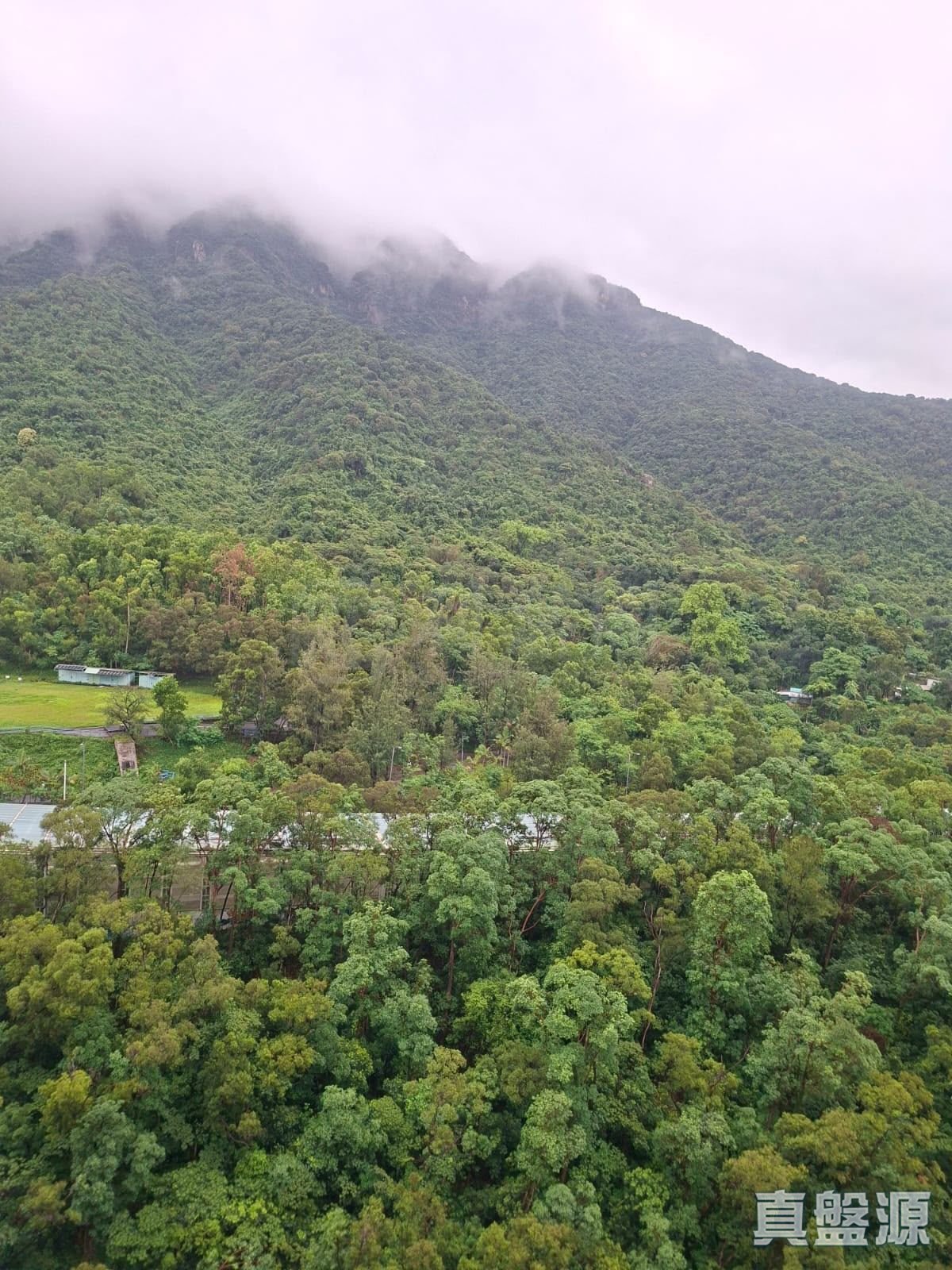 錦英苑 錦智閣 (D座) 高層 7室 馬鞍山