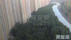 锦英苑 锦悦阁 (G座) 高层 7室 马鞍山