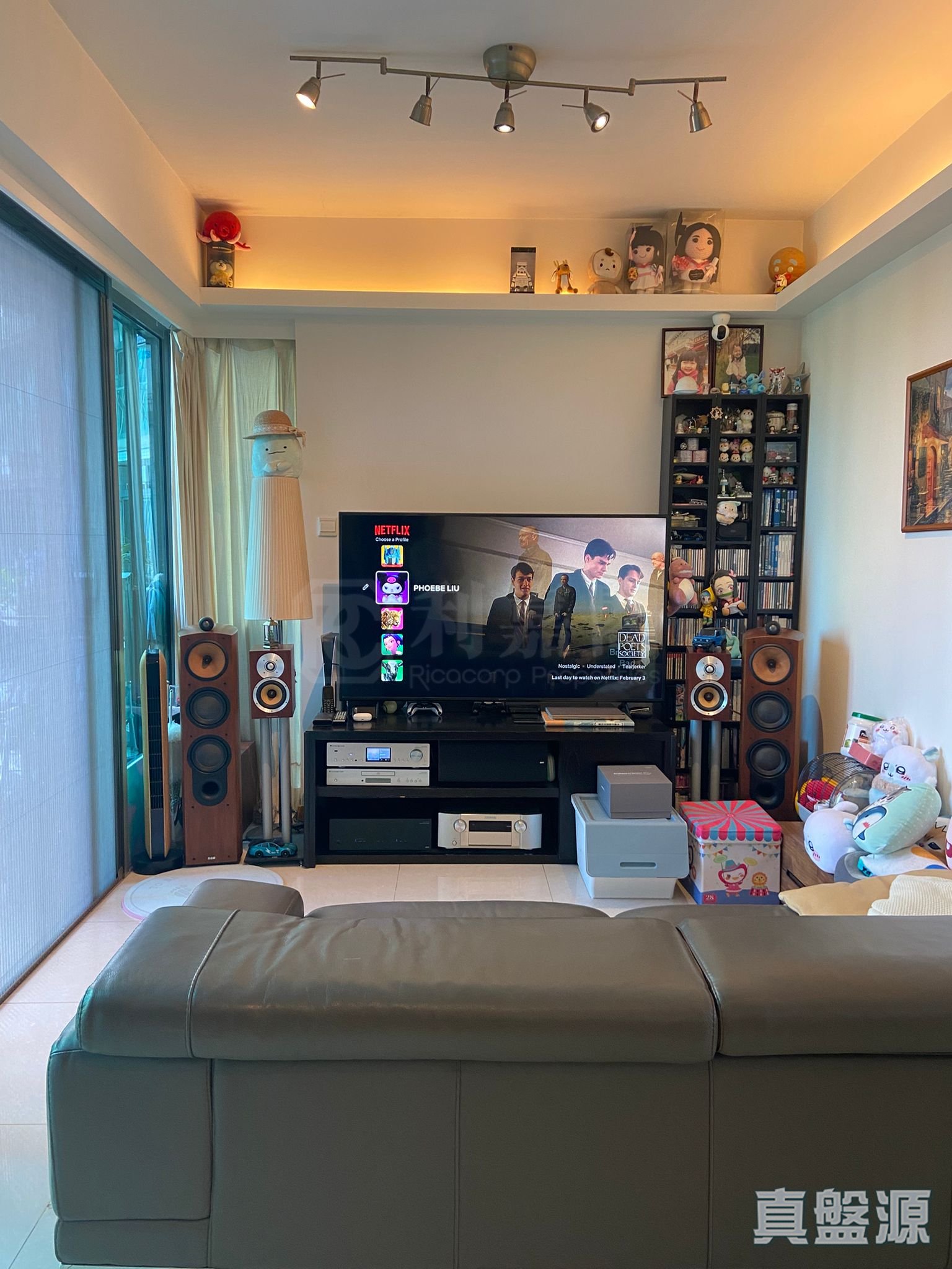 嵐岸 3座 低層 E室 馬鞍山