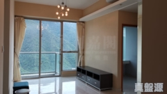 LAKE SILVER Tower 2 Very High Floor Zone Flat G Ma On Shan