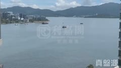 嵐岸 1座 高層 C室 馬鞍山