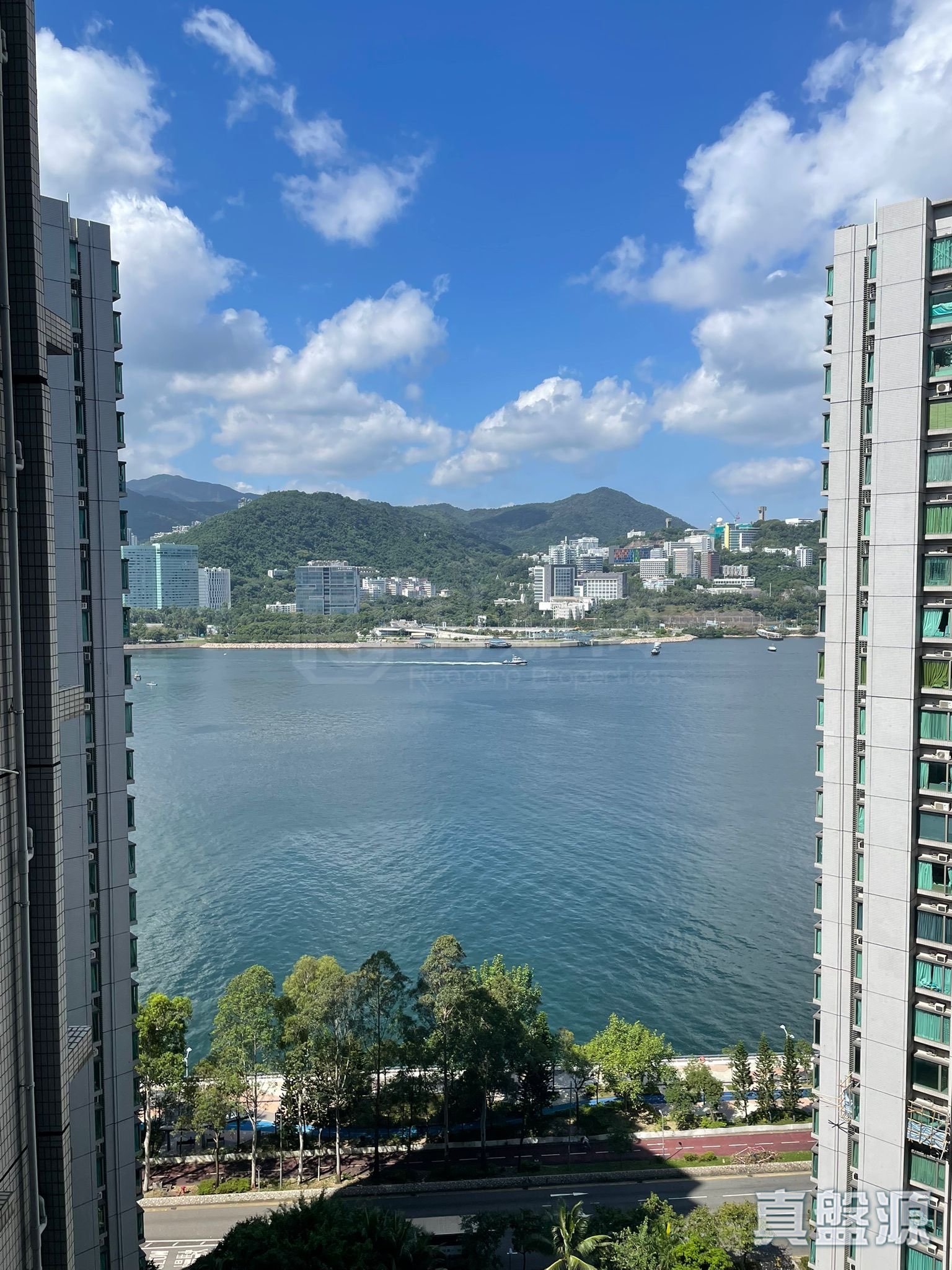 SAUSALITO TOWER 6 High Floor Zone Flat F Ma On Shan