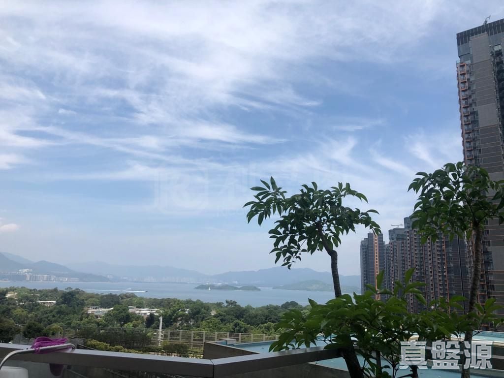 银湖．天峰 2座 低层 B室 马鞍山
