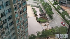 曉峰灣畔 3座 高層 D室 馬鞍山