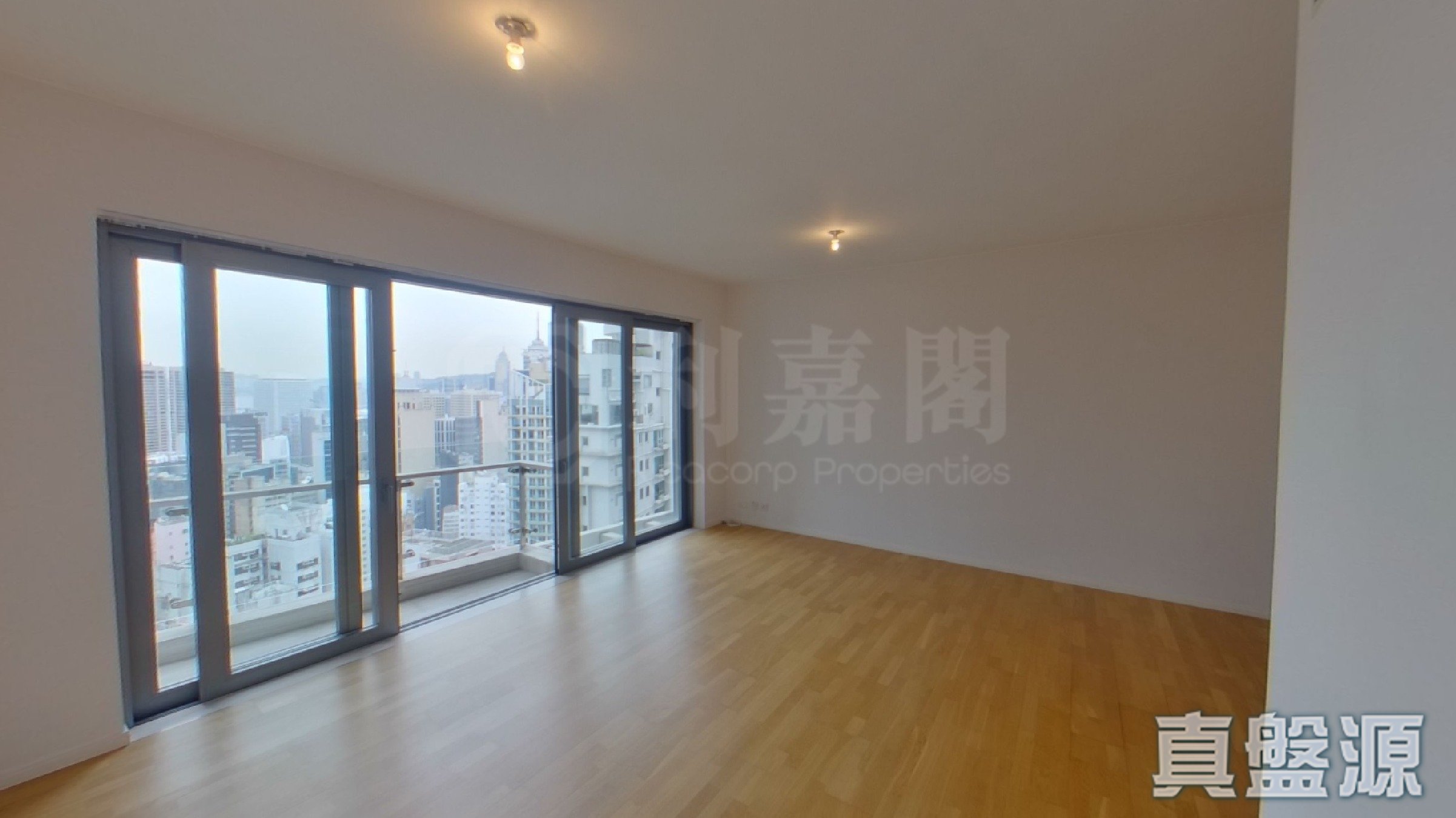 懿峰 高層 B室 西半山