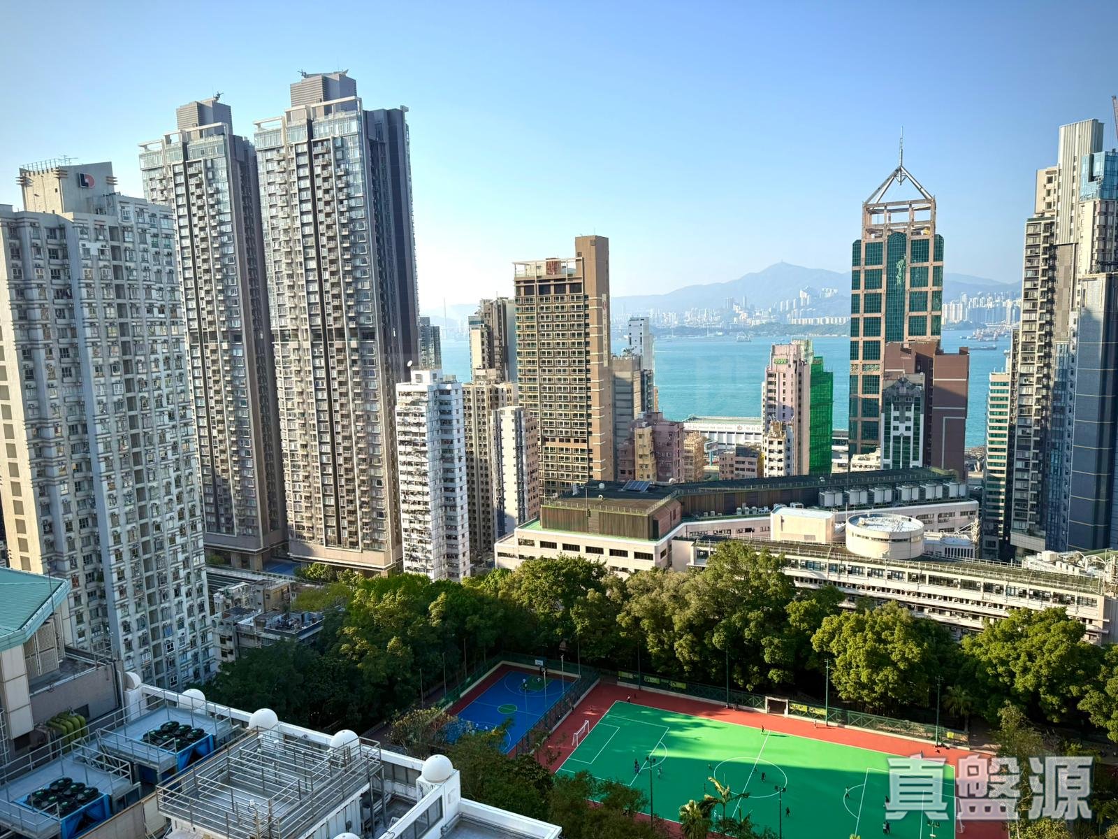 豫苑 1座 中層 C室 西半山