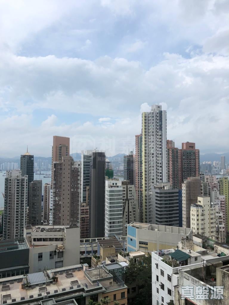 豫苑 2座 中層 B室 西半山