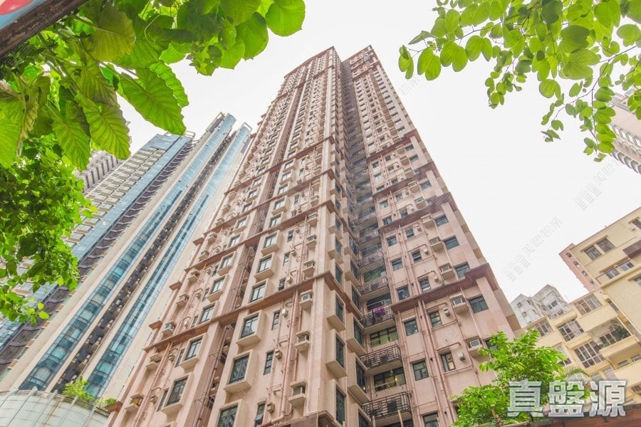 輝煌臺 高層 C室 西半山