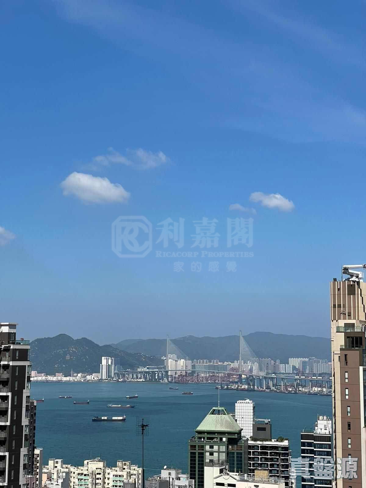 嘉和苑 高层 C室 西半山