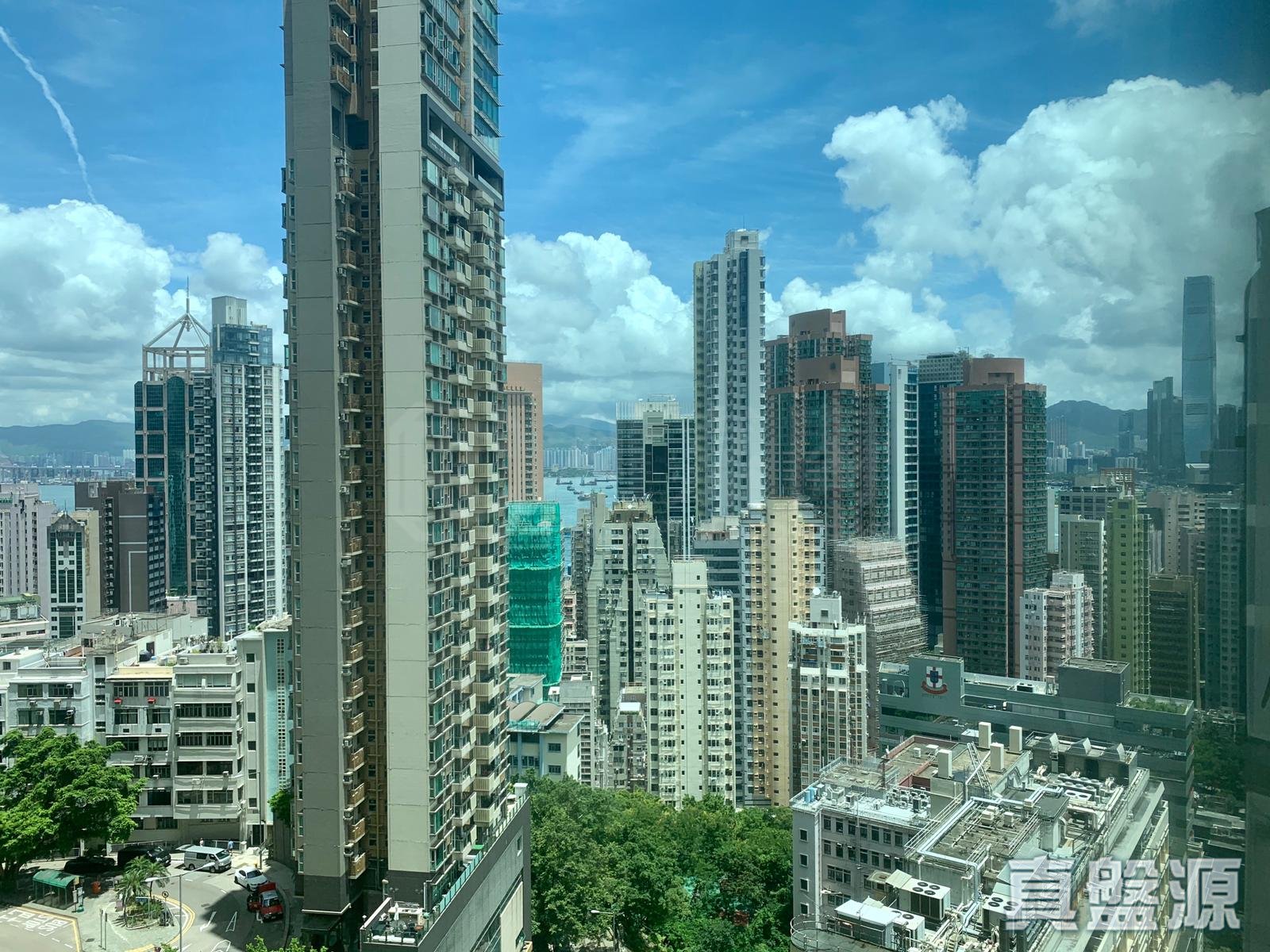 金帝軒 中層 西半山