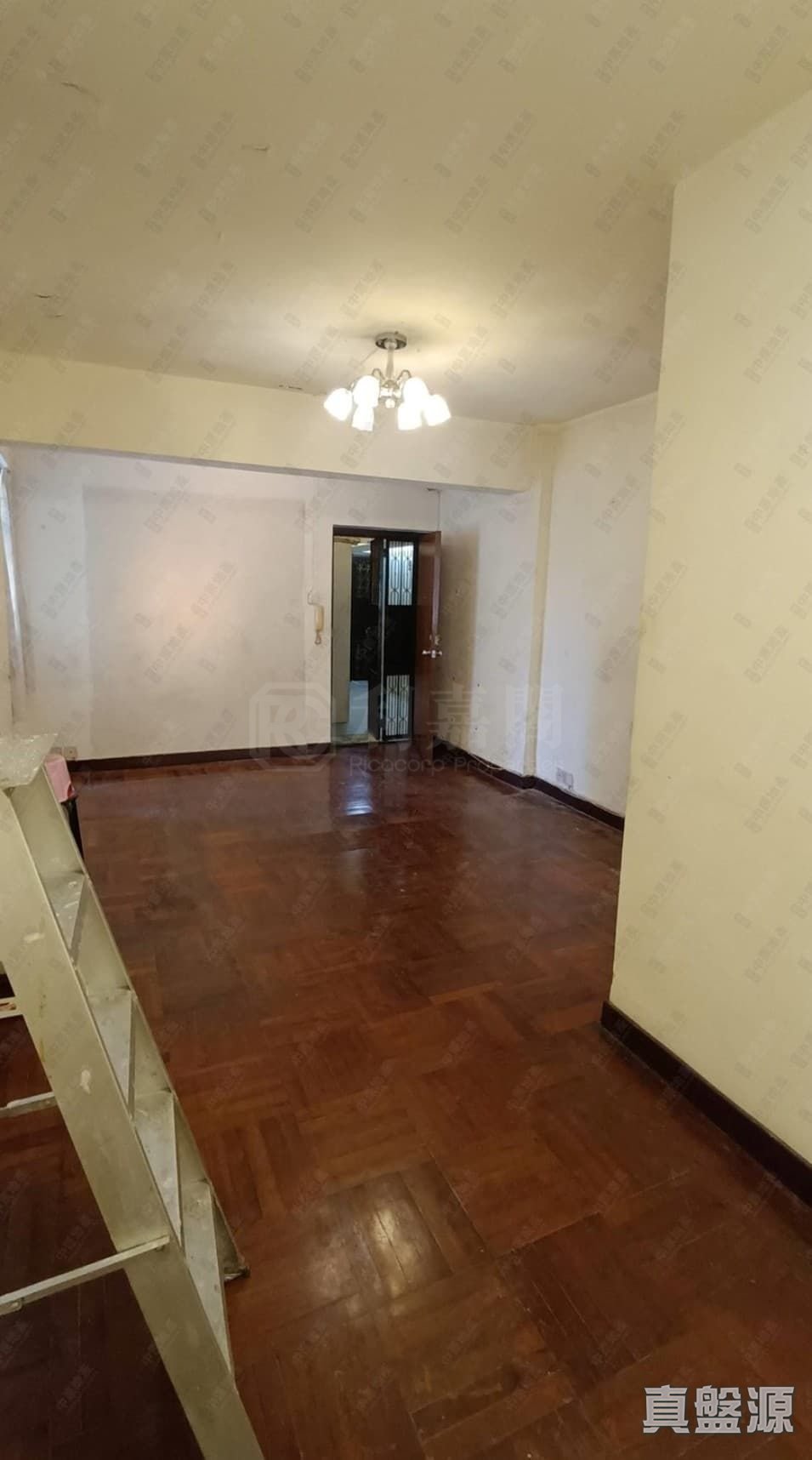 金谷大厦 高层 A137室 西半山