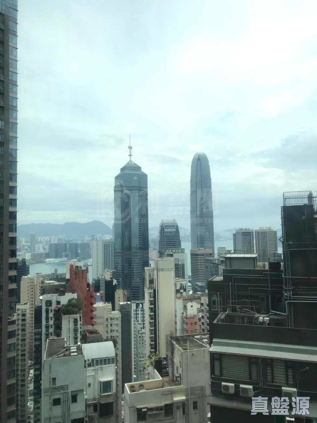 高雲臺 高層 G室 西半山