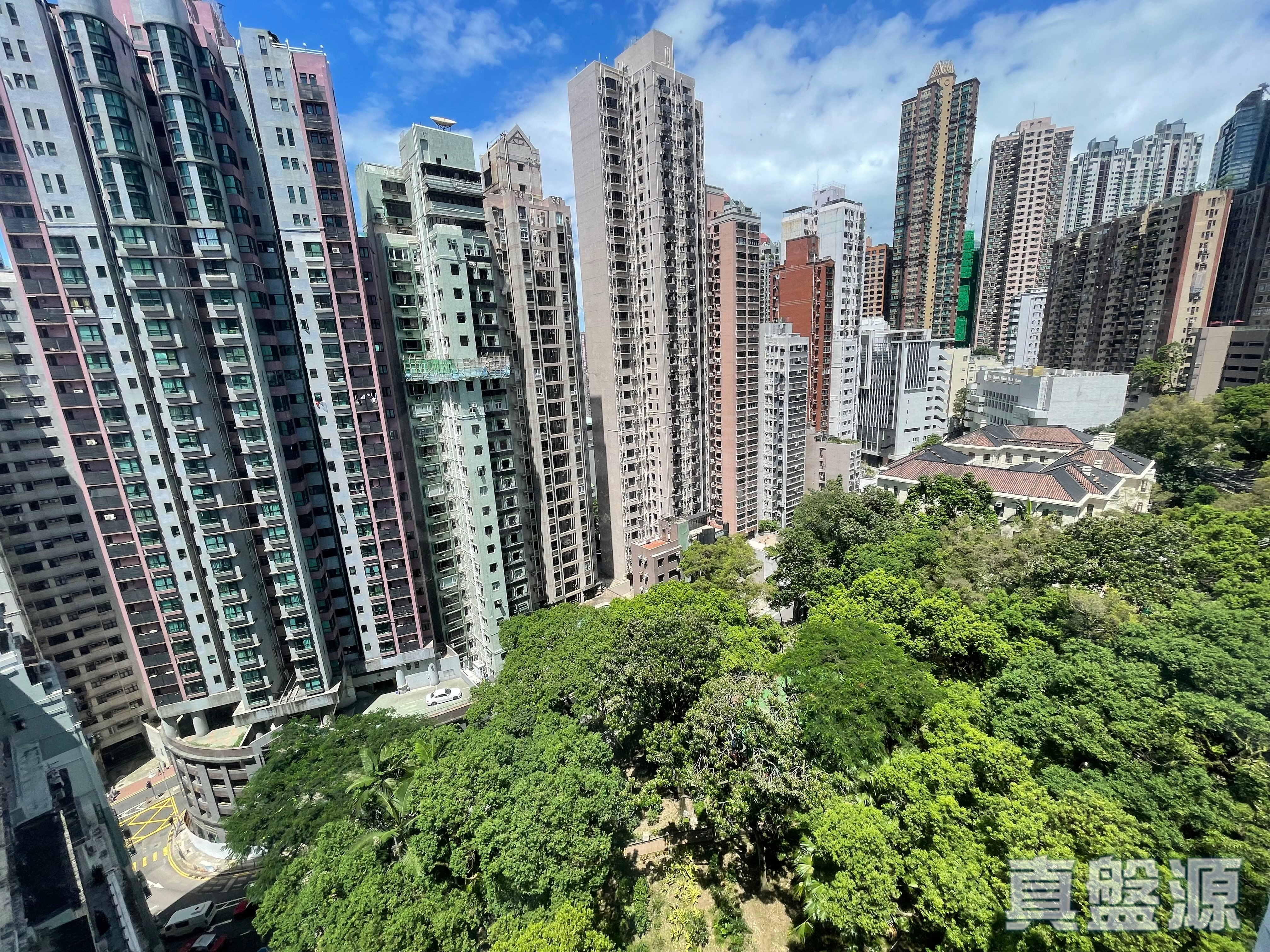 豪華大廈 西半山