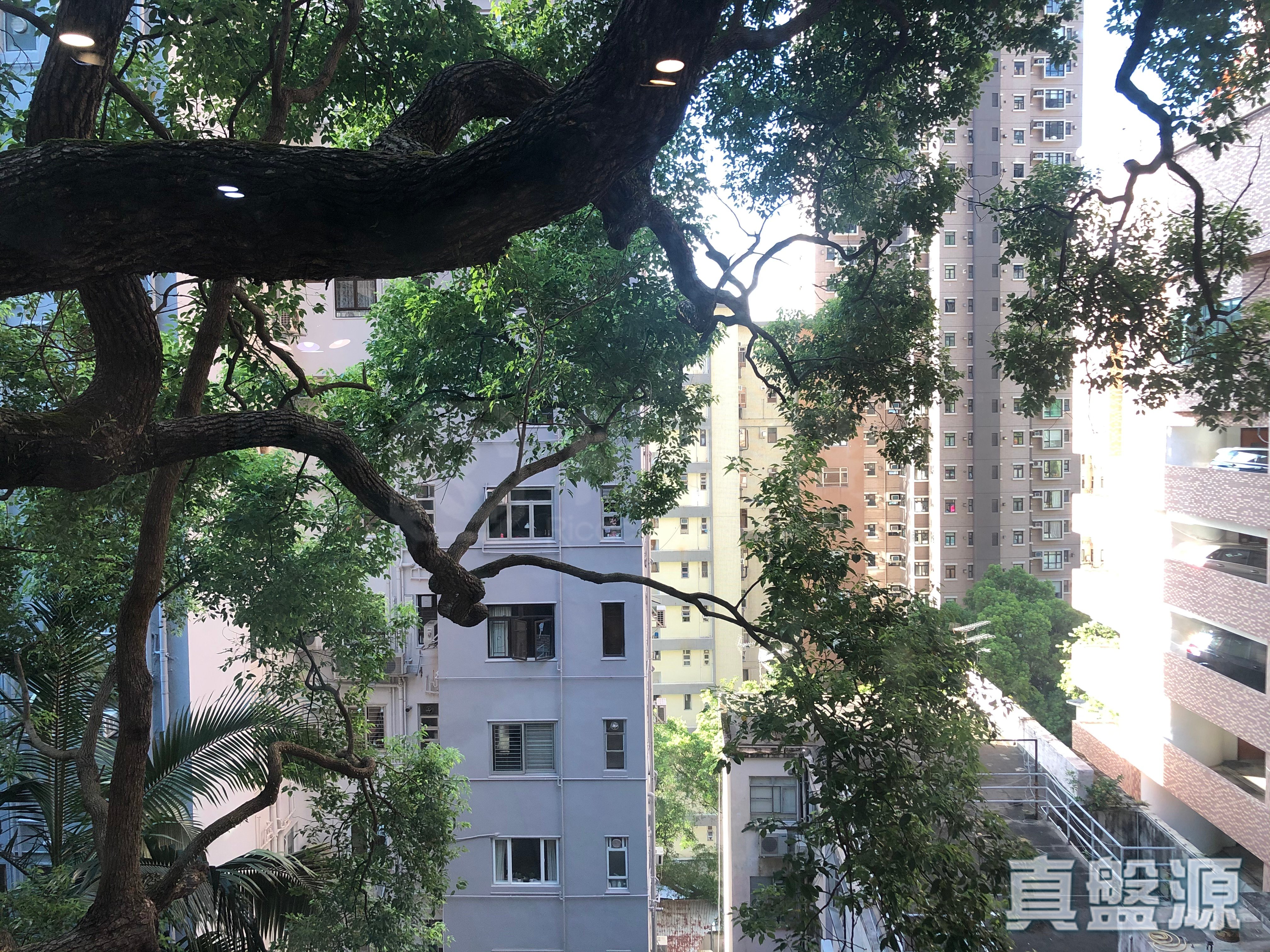 IMPERIAL COURT BLOCK B Low Floor Zone Mid-Levels West