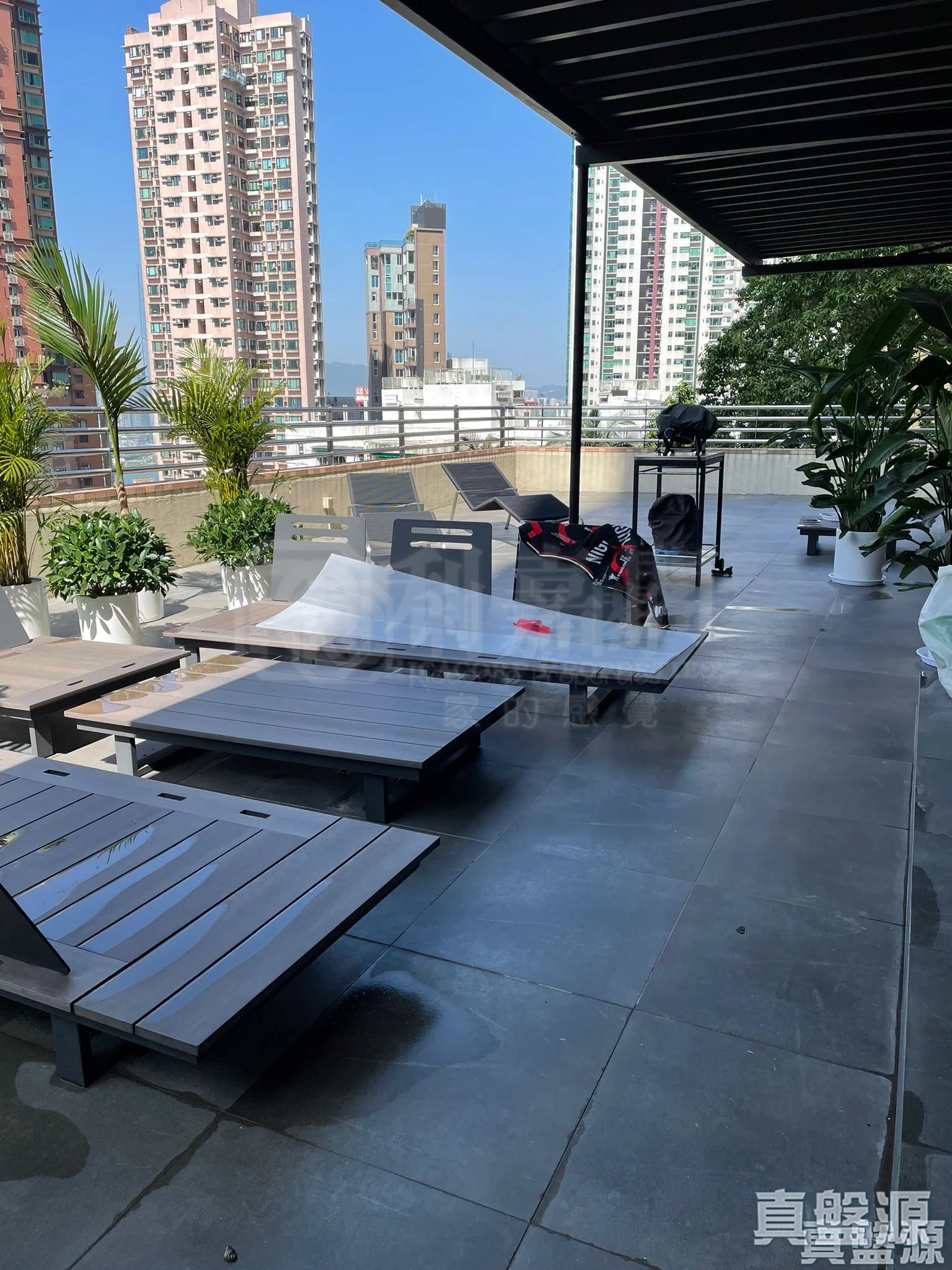 帝豪閣 C座 低層 C2室 西半山