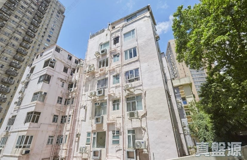 健園 中層 西半山