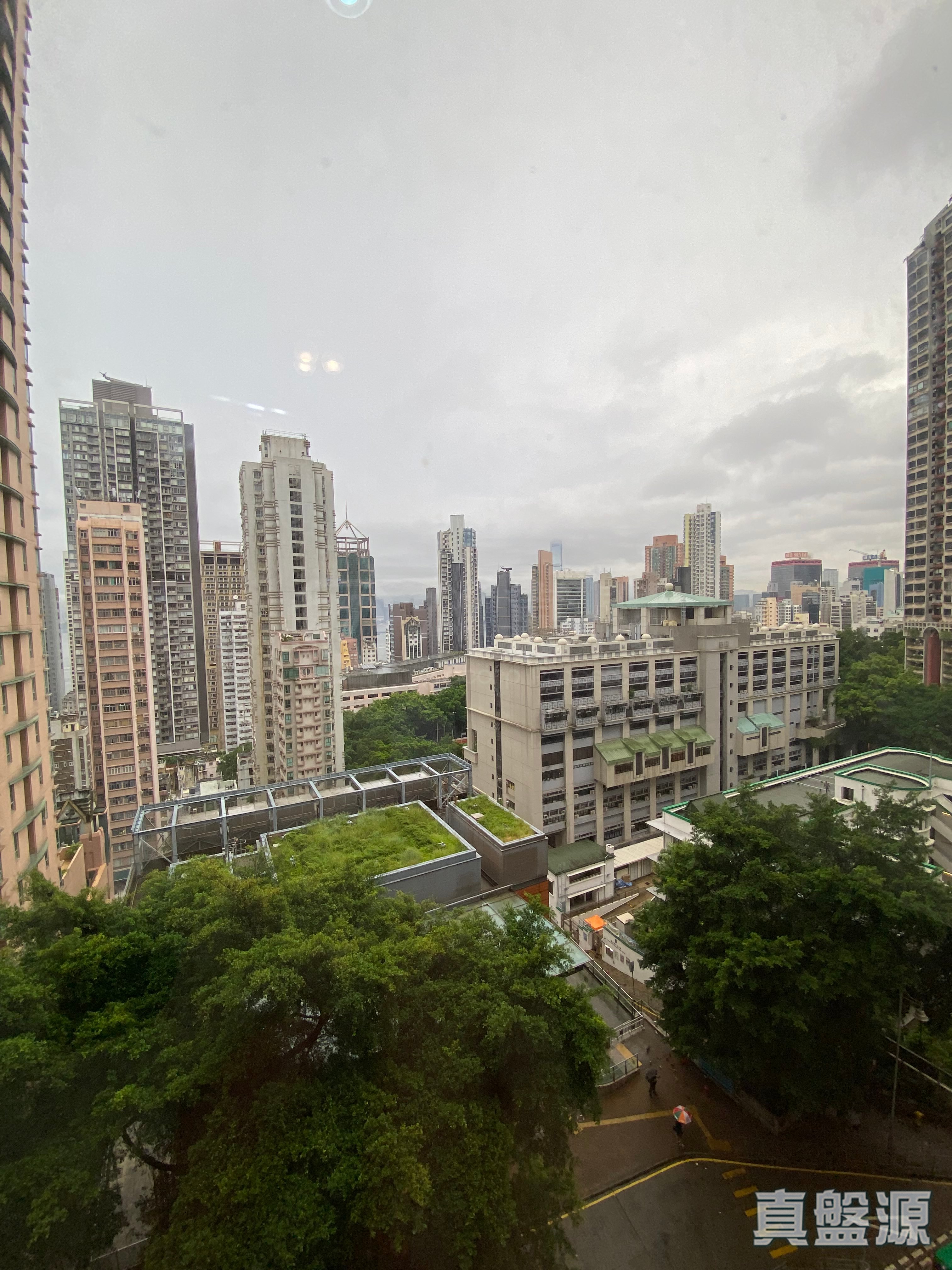 柏苑 中層 A室 西半山