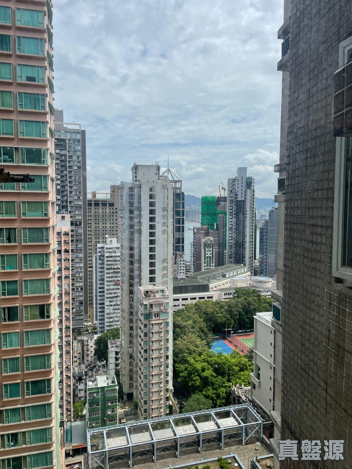 柏苑 高層 C室 西半山