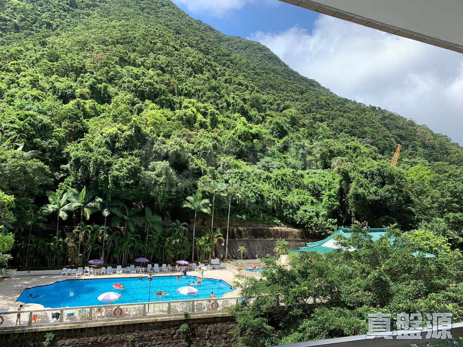 聯邦花園 維也納閣 (5座) 高層 D室 西半山
