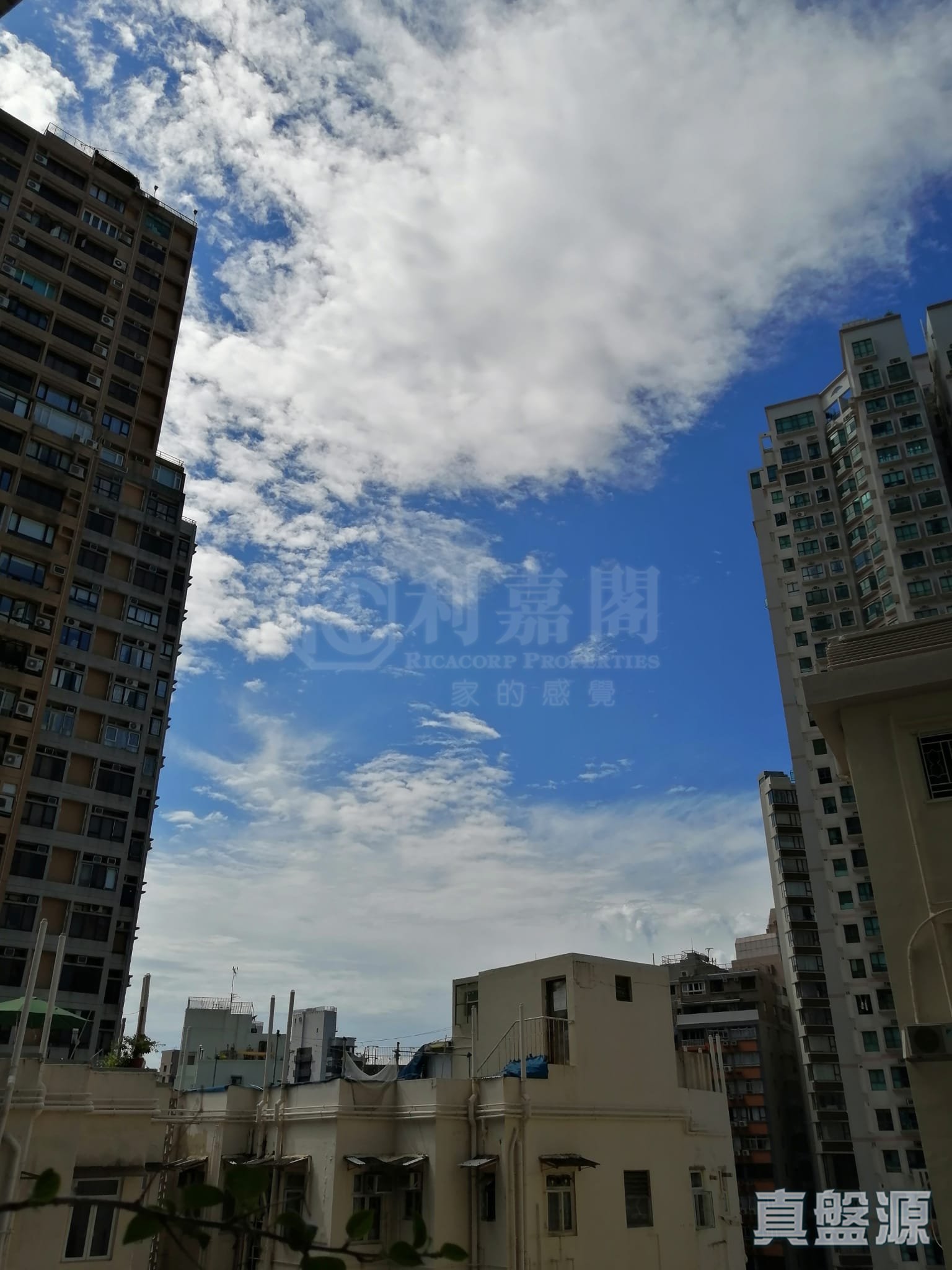 乐贤阁 低层 A室 西半山