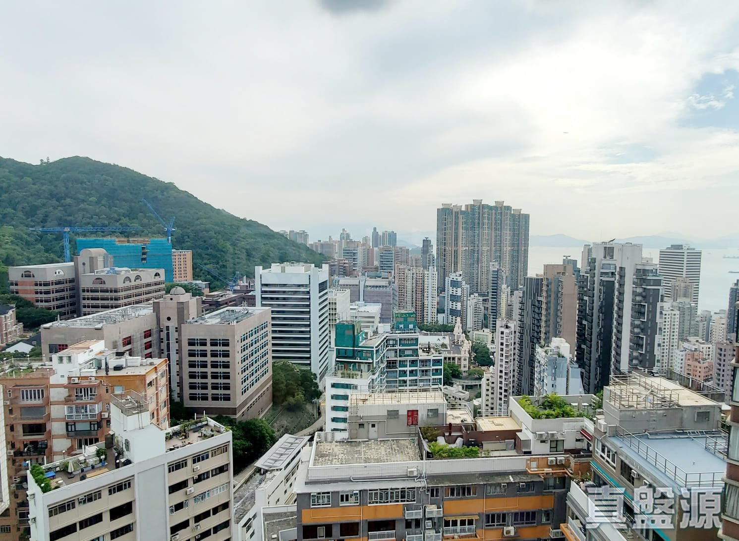 俊杰花园 高层 B室 西半山
