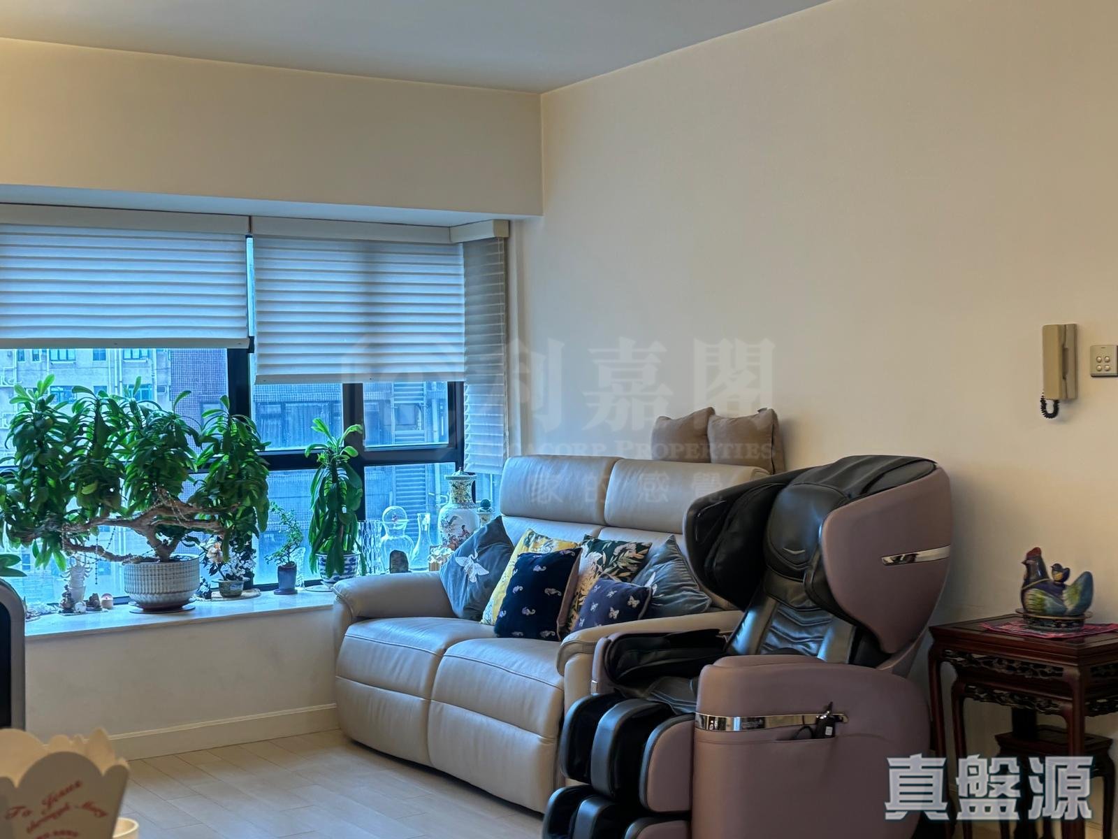 嘉兆臺 2座 低層 C室 西半山