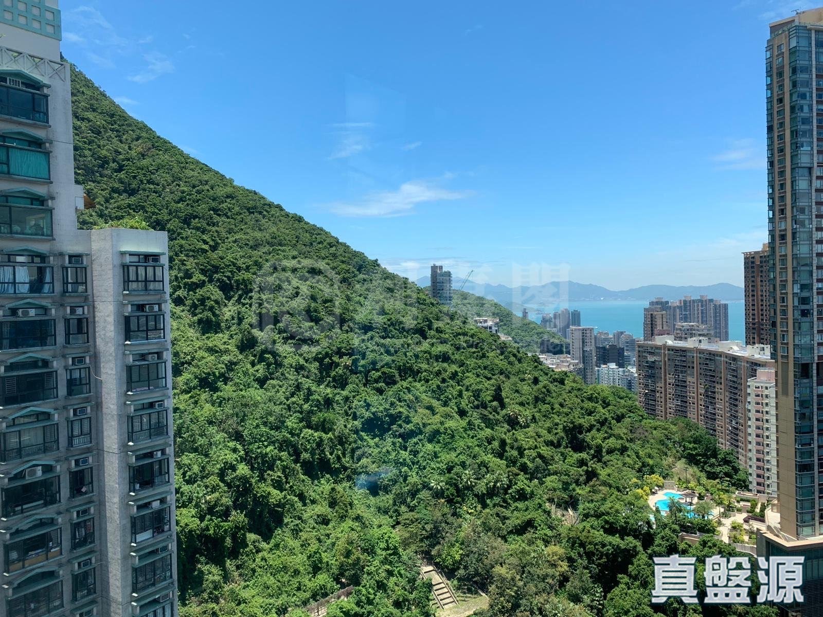 駿豪閣 極高層 F室 西半山