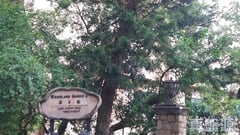 華翠園 中層 A62A室 西半山