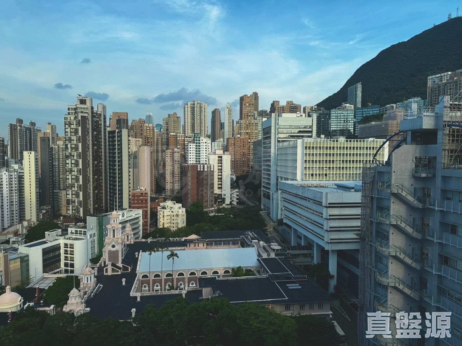 翠安閣 極高層 西半山