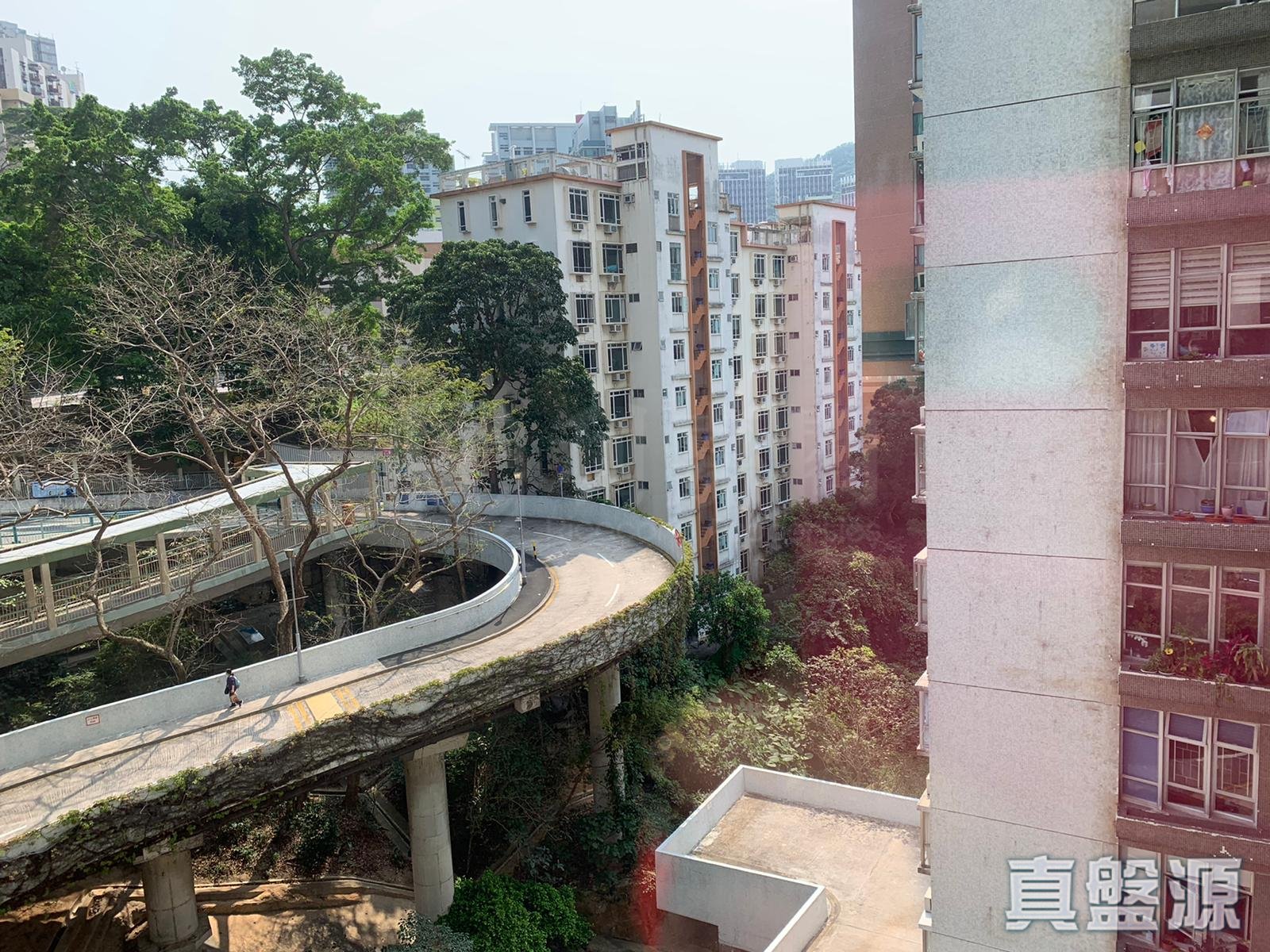 学士台 2座 中层 H室 西半山
