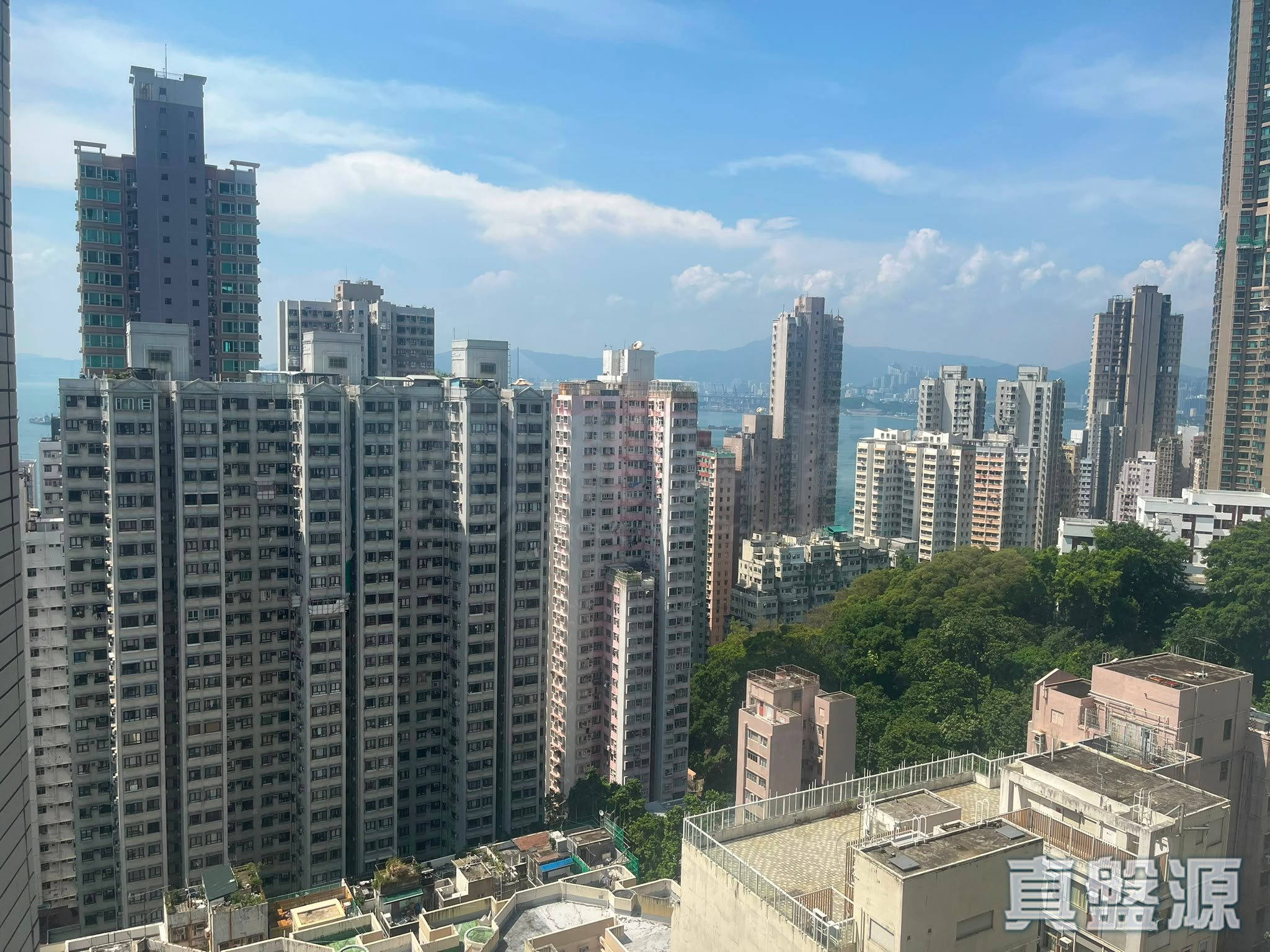 學士臺 3座 高層 C室 西半山