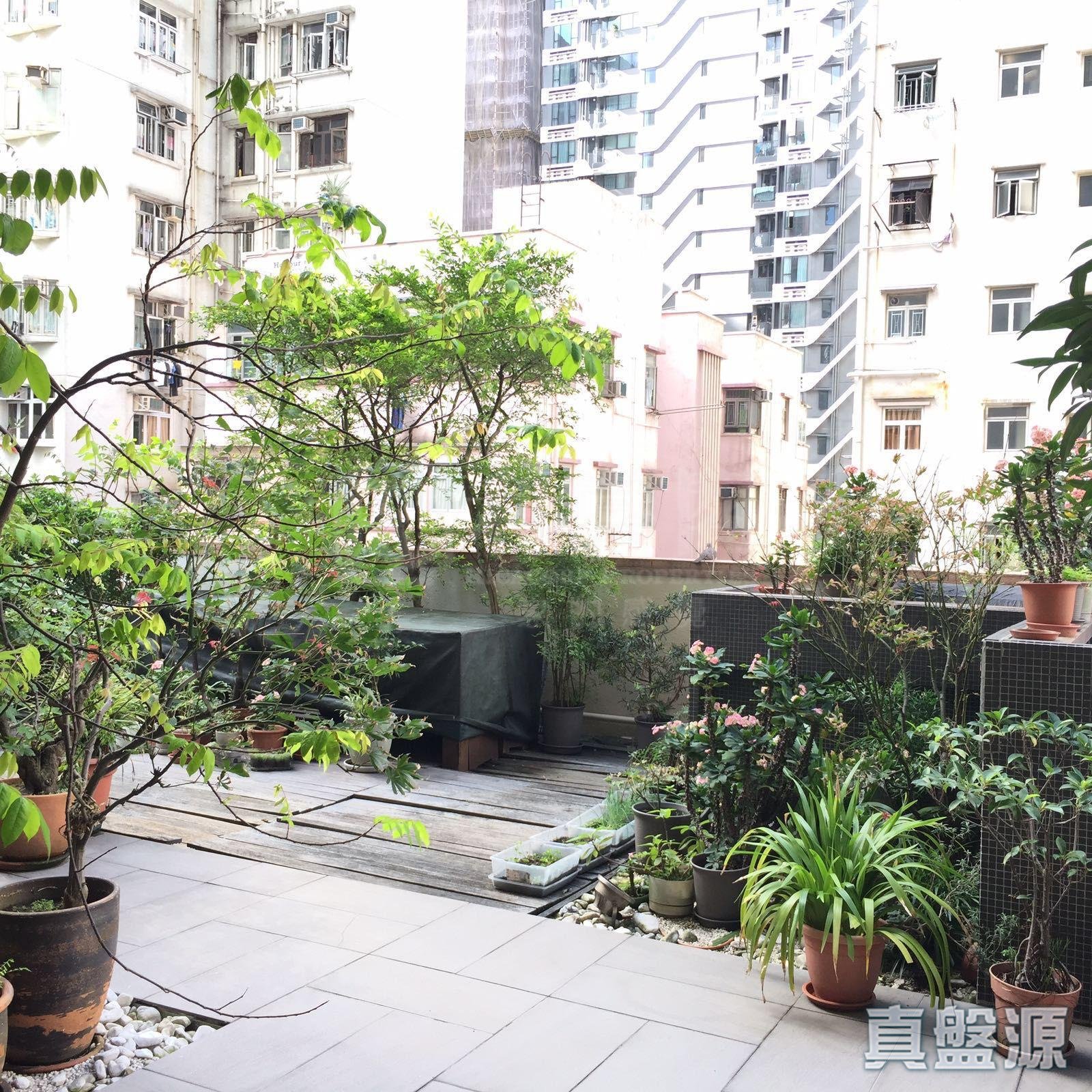 博仕臺 低層 C室 中上環/西區